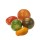 Tomaten wilde wonders